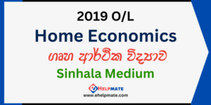 2019 O/L Home Economics Paper in Sinhala Medium